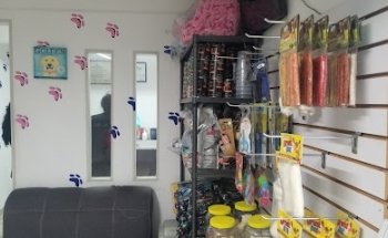 Dpg Doctor En Perros Y Gatos