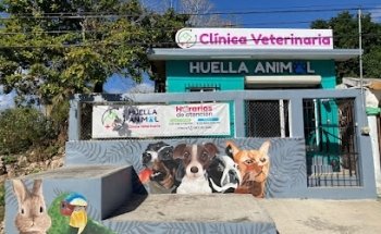 Clínica Veterinaria Huella Animal