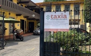 Taxia Fisioterapia Veterinaria