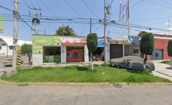 Clínica Veterinaria Animal