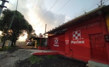 Purina 