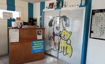 Cat and Dog Clinica Veterinaria