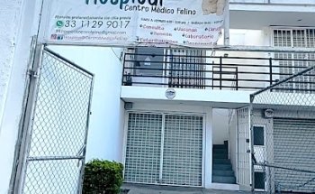 Hospicat Centro médico felino