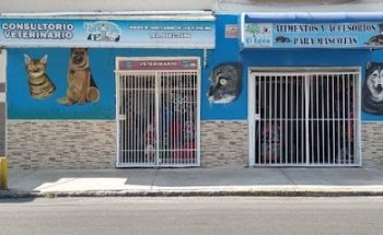 Consultorio Veterinario El Edén