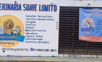 Veterinaria Suave Lomito