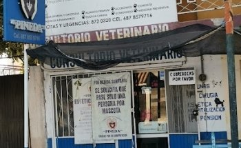 Veterinaria Pineda