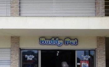 Buddy Pet Sorrento