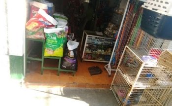 Veterinaria San Martín