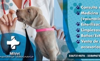 MiVet Consultorio Veterinario