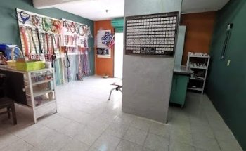 Centro Médico Veterinario Ayotla Urgencias 24 hrs