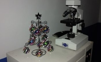 Clínica veterinaria Little Pets