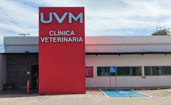 UVM Clínica Veterinaria - Universidad del Valle de México