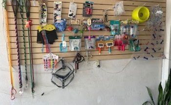 Veterinaria Canino Real