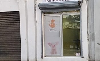 Veterinaria The Golden House OTAY