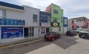 Estética Veterinaria 