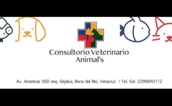 Consultorio Veterinario Animal´s