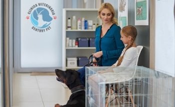 Veterinaria Century Pet
