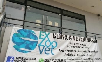 Exzoovet Mascotas no convencionales