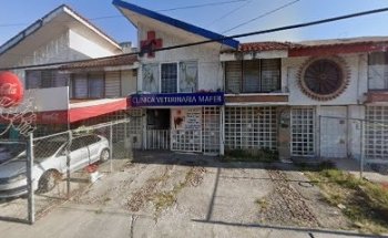 Clínica Veterinaria Mafer