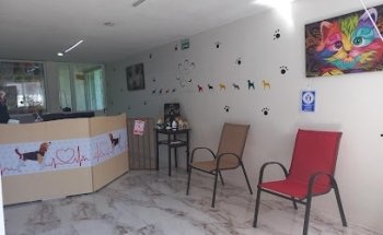 Centro Médico Veterinario FIRUGUAU