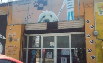 Servicios médicos veterinarios pets & pez shop