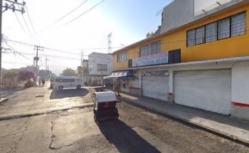 Estetica veterinaria Cat & Dog pet's