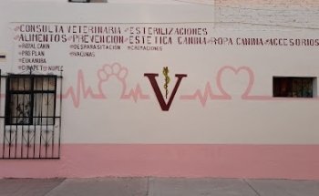 VETERINARIA VILLEGAS