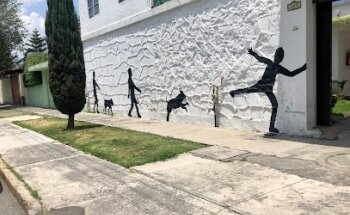 Hidoc - Hospital Veterinario De Especialidades