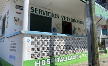 Veterinaria Valdes