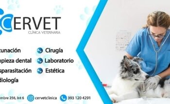 CERVET