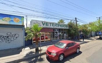 Veterinaria La Higuerita