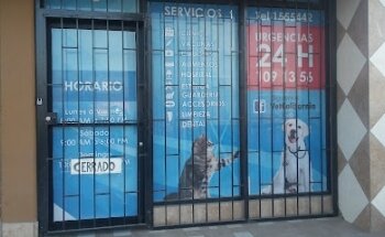 Veterinaria California