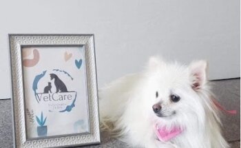 Veterinaria 24 horas VetCare Juárez