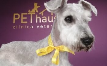 PEThaus CLÍNICA VETERINARIA