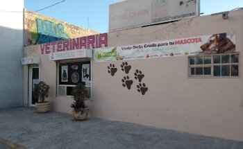 Mundo Animal Sonia soto