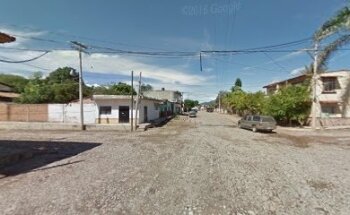 Veterinaria Dog + Cat