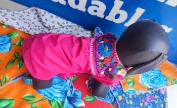 Veterinaria & Estética Canina M.V.Z Marisol Cruz Castillejos