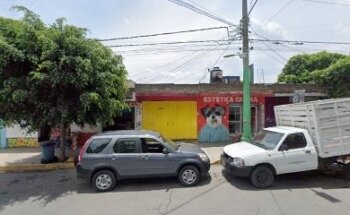 VETERINARIA Y ESTÉTICA CANINA TONA