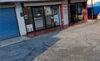 Clinica Veterinaria Cat Dog