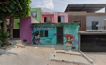 Doggymanía Veterinaria y Estética