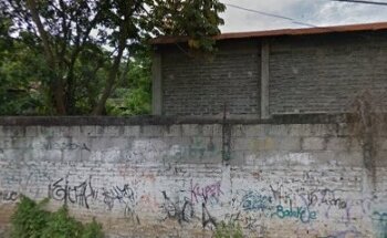 Medico Veterinario Zootecnista Octavio Ponce (Mi Veterinario en Linea)