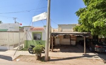 CLINICA VETERINARIA MY VET