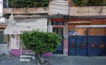 Zazil Zoo Veterinaria