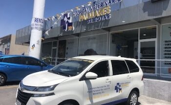 Hospital Veterinario Palmares Dr Rojas Suc Cumbres