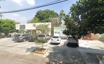 Servicios Veterinarios Para Mascotas Prestados Por El Sector Privado