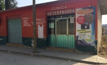 Veterinaria 