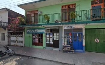 Central Veterinaria Roque veterinario estetica canina