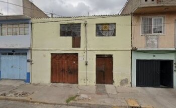 Veterinaria bienestar animal