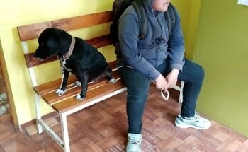 Clínica Veterinaria Cuidado Animal