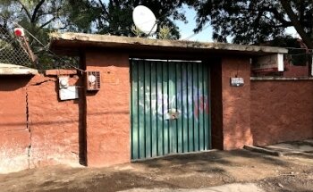 Veterinaria Little Pets